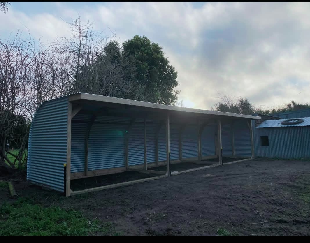 Completed animal shelter
